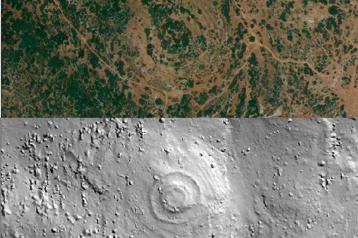 Arriba imagen de satélite de la zona del hallazgo. Abajo, foto con la vegeteción filtrada que deja ver los círculos concéntricos. / IDEAL-UGR